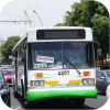 Servicio de Transportes Eléctricos (STE) trolleybuses